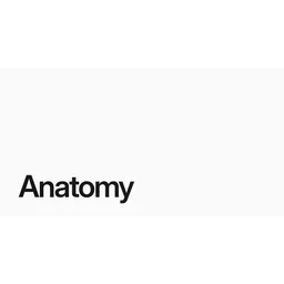 anatomy logo