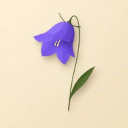 Blume Codes logo