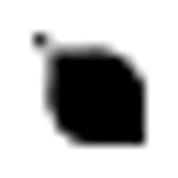 Noodle Seed logo