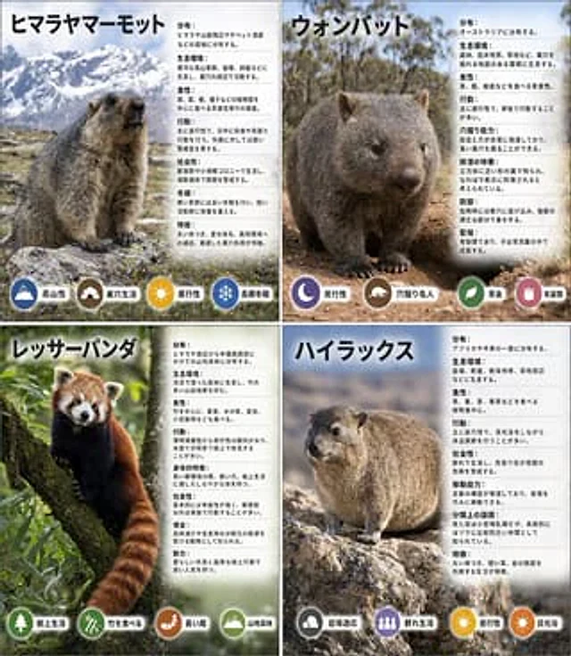Example generated from “4-Panel Animal Infographic Grid”