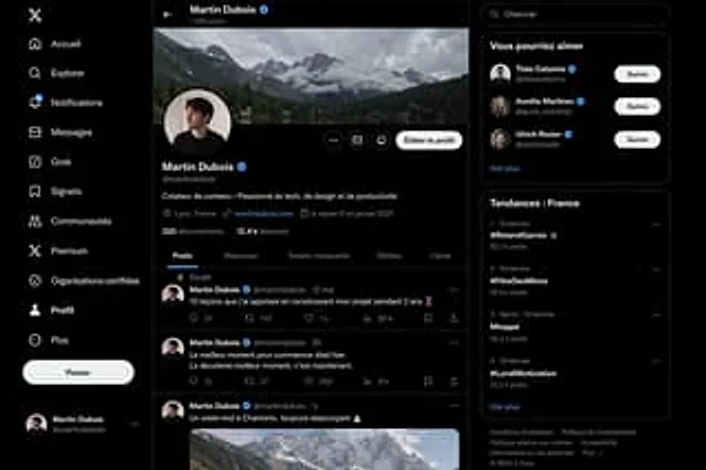 Example generated from “Realistic X Profile Page Mockup”