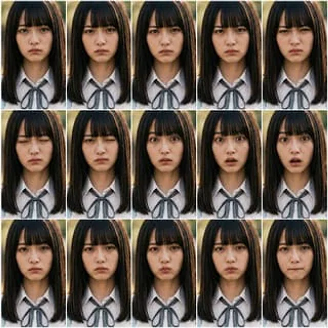 Example generated from “Photoreal FACS Expression Grid”