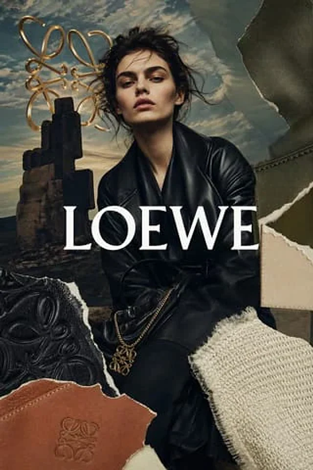 Example generated from “Luxury Leather Fashion Collage Ad”
