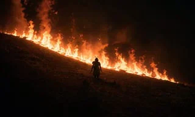 Example generated from “Samurai Before a Hillside Fire”