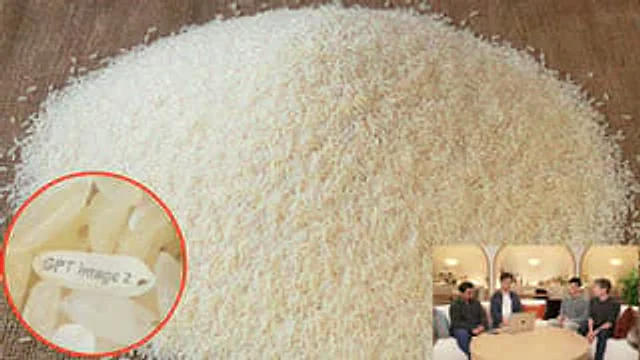 Example generated from “Hidden Engraved Rice Grain”