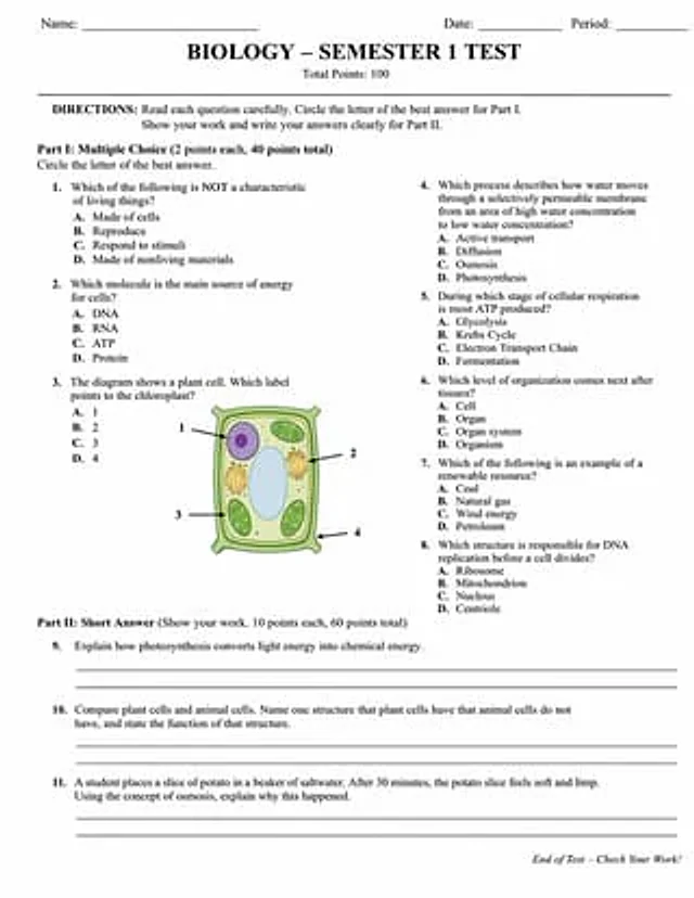 Example generated from “Academic Exam Paper Generator”
