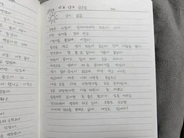 Example generated from “Handwritten Korean Diary Entry”