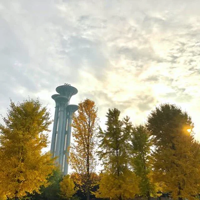 Example generated from “Douyin Live Stream Screenshot”