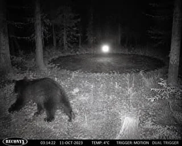 Example generated from “Paranormal Trail Camera Encounter”
