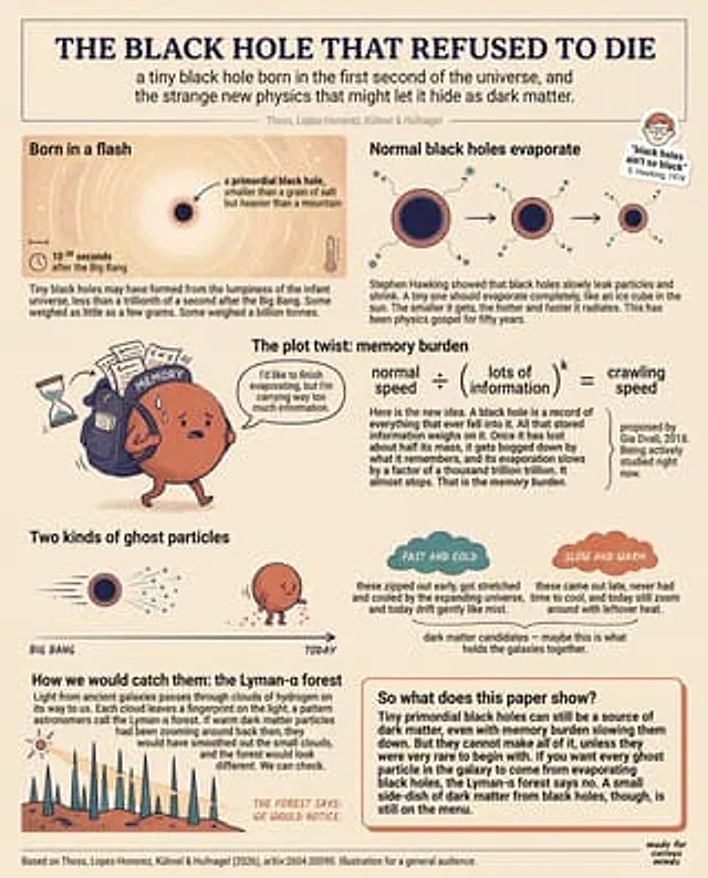 Example generated from “Teen-Friendly Black Hole Physics Infographic”