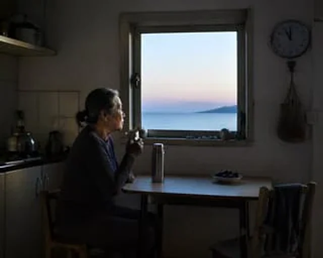 Example generated from “Contemplative Window View Portrait”