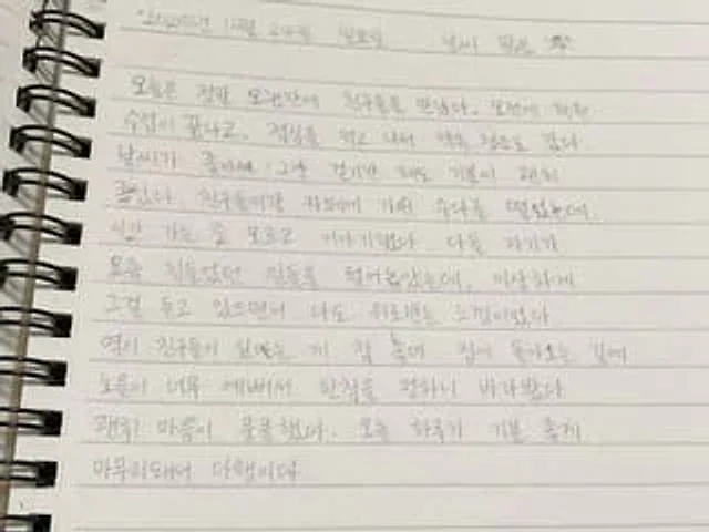 Example generated from “Handwritten Korean Journal Entry”