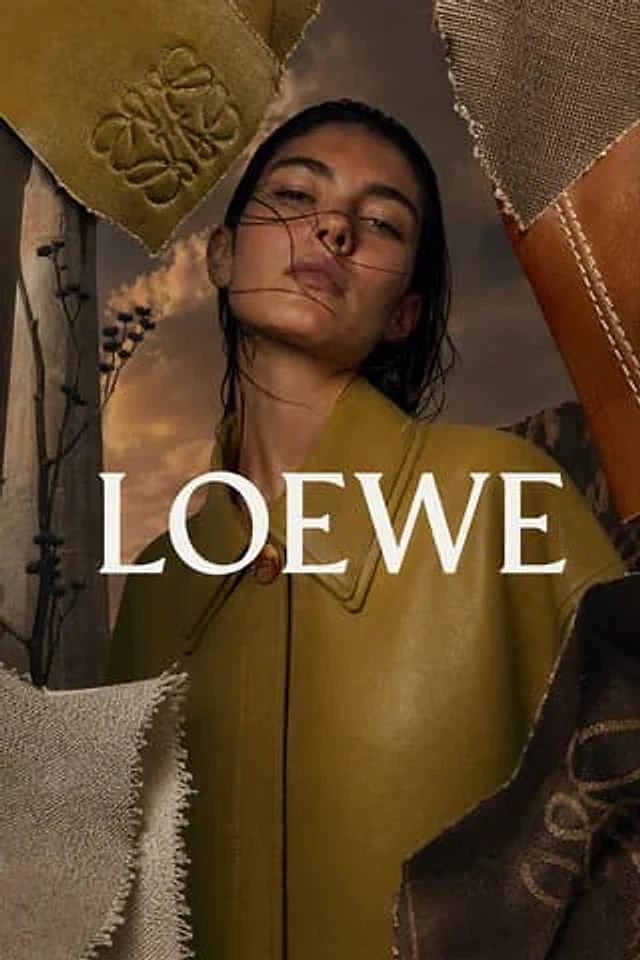 Example generated from “Luxury Leather Fashion Ad Poster”
