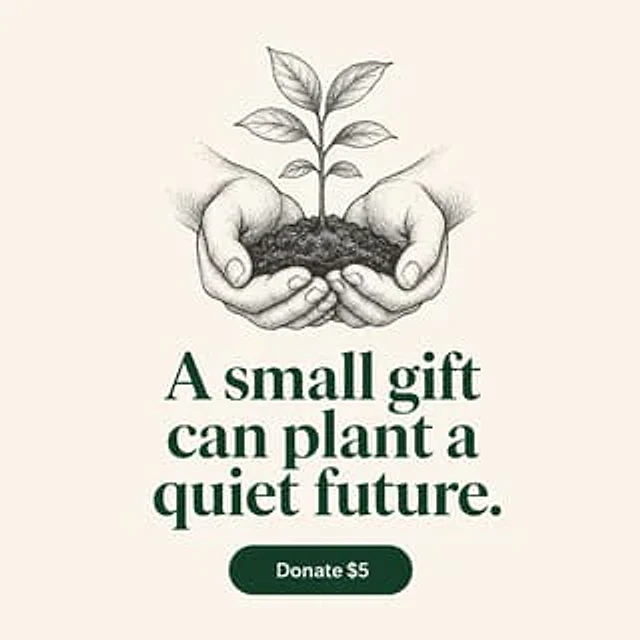 Example generated from “Square — Donation Campaign Visual”