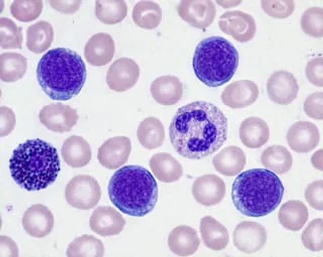 Example generated from “Biological Specimen Microscopy Prompt”