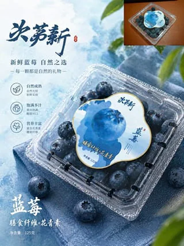 Example generated from “Premium Blueberry Product Poster”