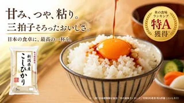 Example generated from “Japanese Rice Advertisement Banner”