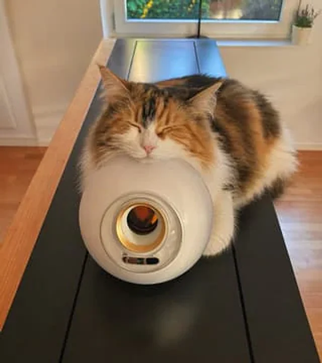 Example generated from “Sleeping Calico on White Appliance”