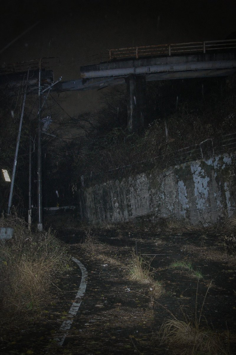Abandoned Road Under Bridge